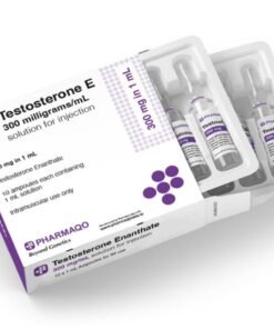 Pharmaqo US – TESTOSTERONE E | Ampoules